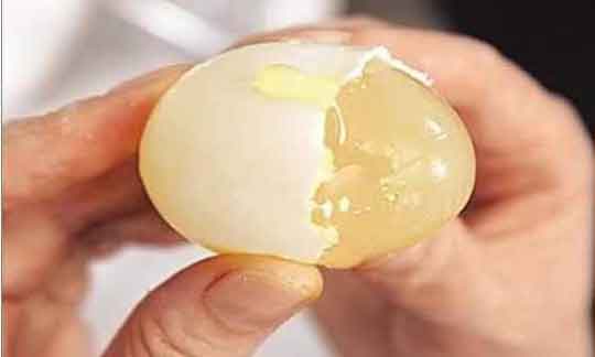 প্লাস্টিকের ডিম বিক্রির অভিযোগে বিক্রেতা আটক, ডিম নষ্ট