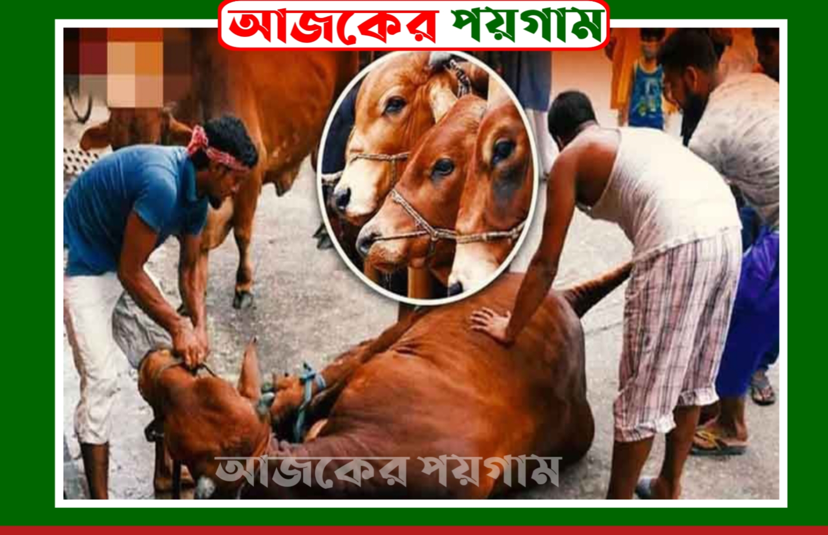 পশ্চিমবঙ্গে পশু জবাইয়ে কঠোর বিধিনিষেধ, রাজনৈতিক বিতর্ক তুঙ্গে